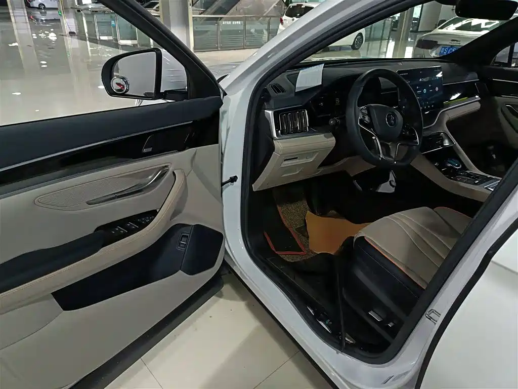 BYD PLUS New Energy 2021 — фото 13
