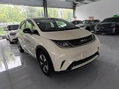 BYD Dolphin 2026