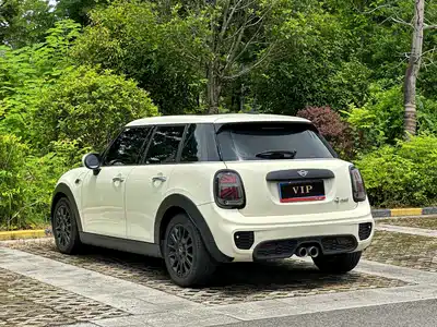 MINI MINI 2019