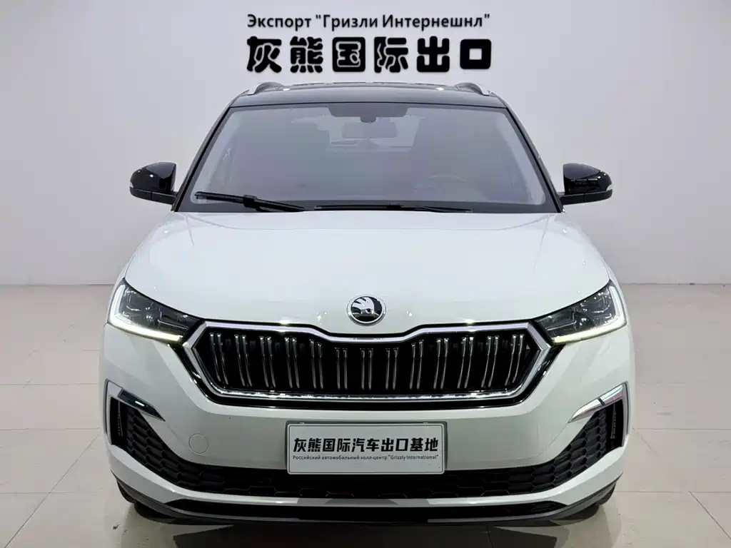 Skoda Kamiq 2024
