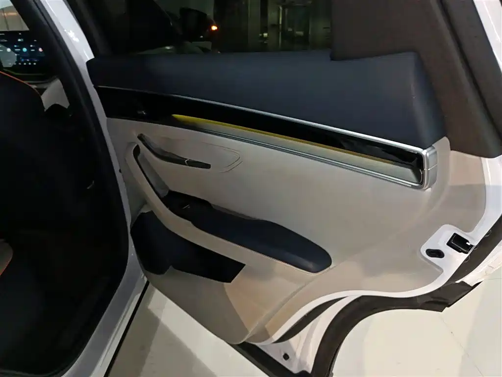 BYD PLUS New Energy 2021 — фото 20