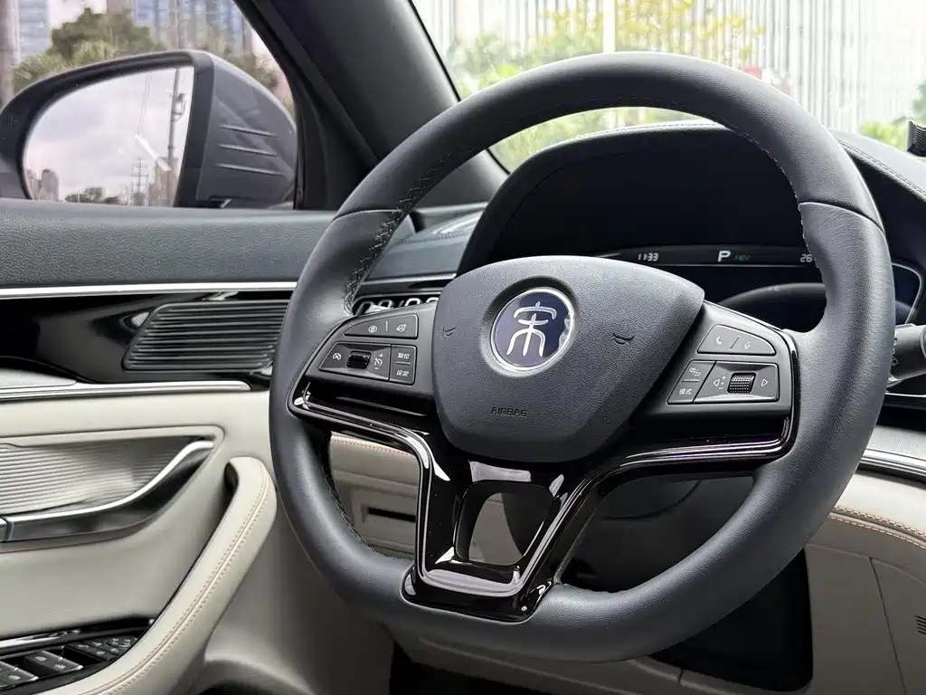 BYD PLUS New Energy 2022 — фото 3