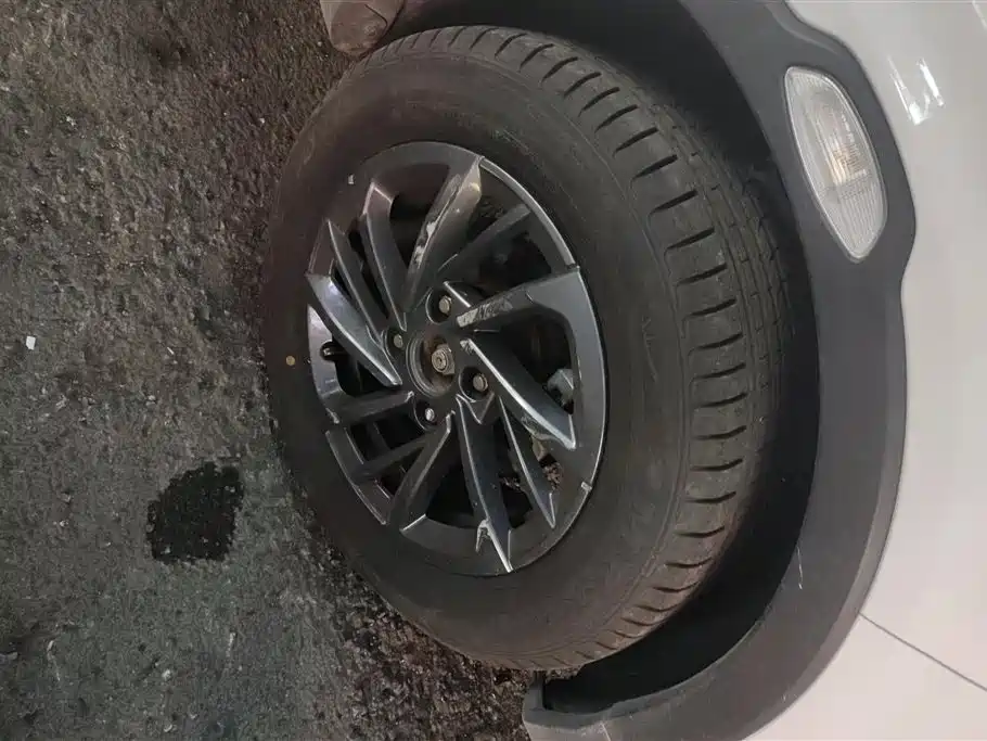 Neta V 2020