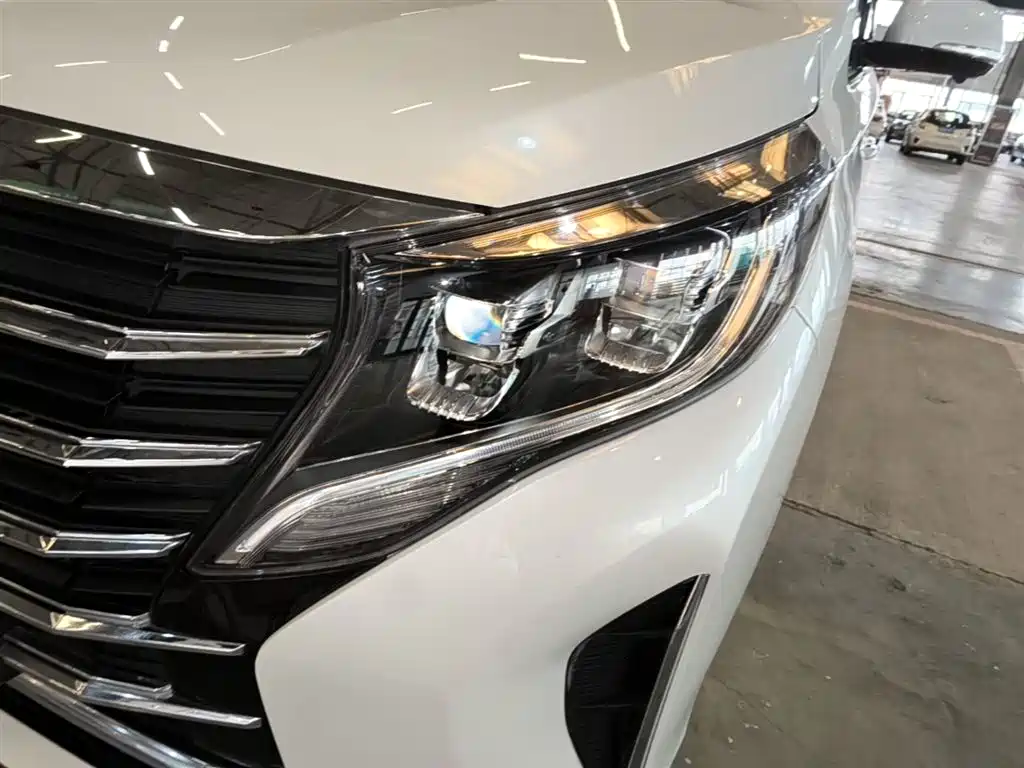 GAC Motor Trumpchi M8 2023 — фото 24