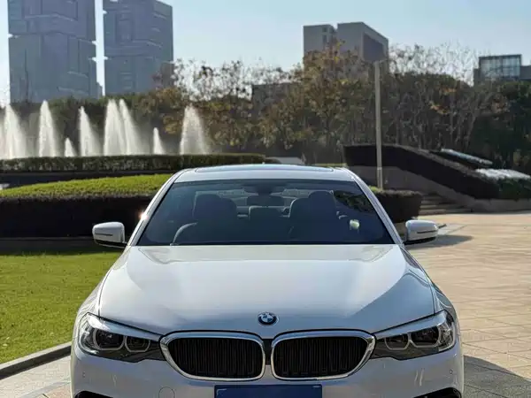 BMW 5 Series 2019