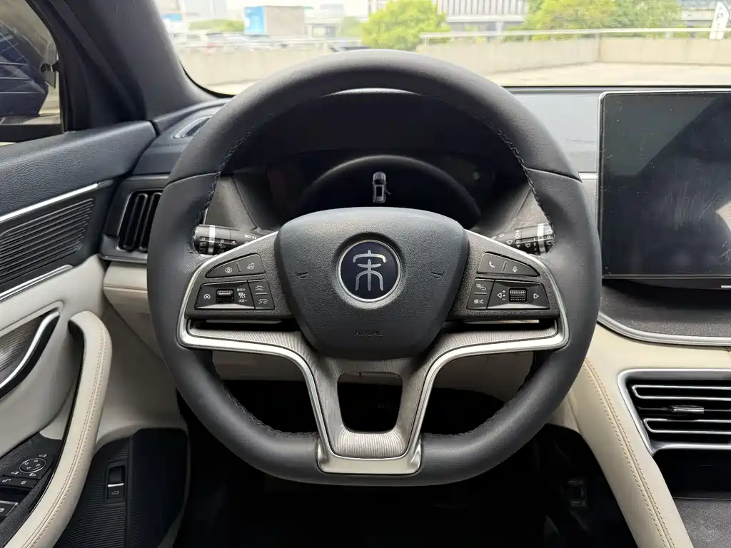 BYD PLUS New Energy 2022 — фото 22