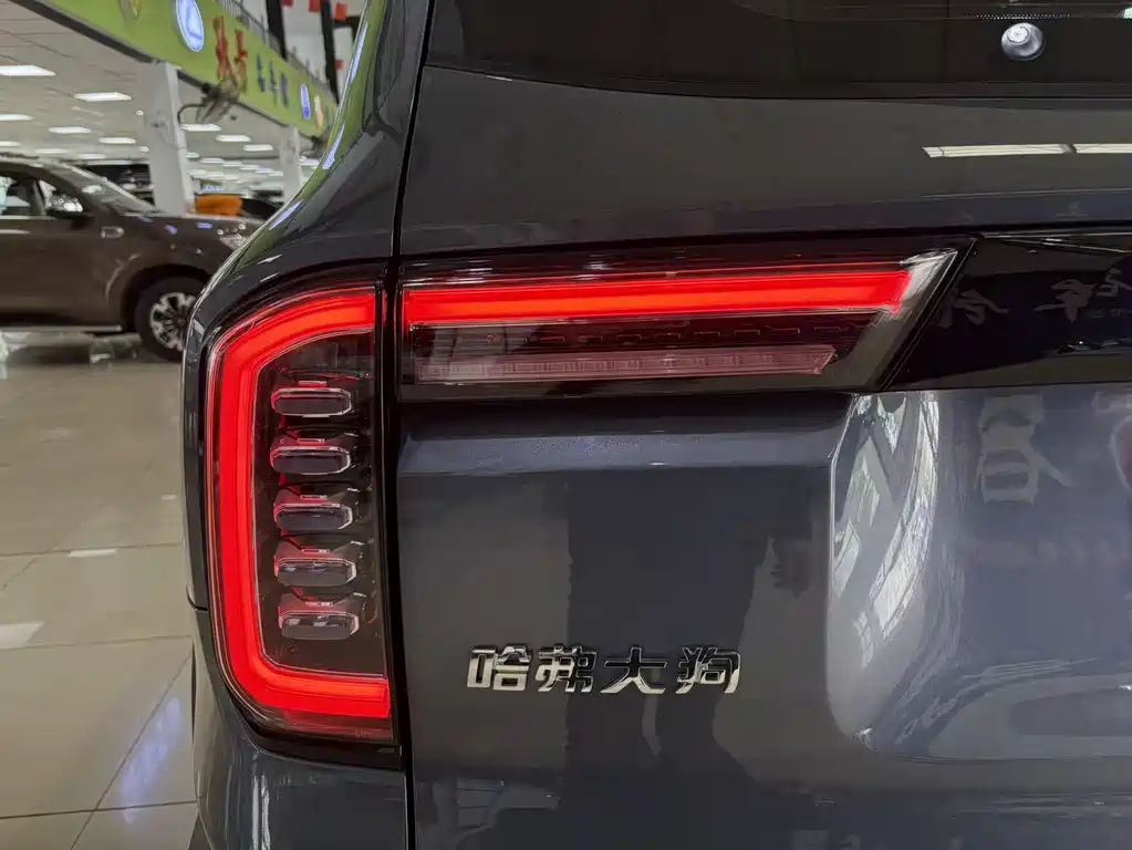 Haval Big Dog 2022 — фото 13