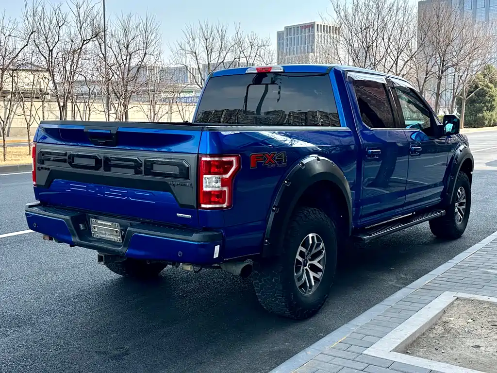 Ford F-150 Raptor 2018 — фото 5