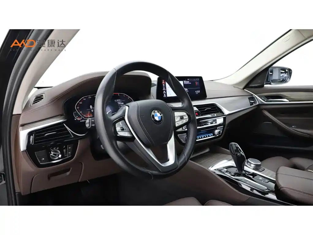 BMW 5 Series 2019 — фото 6