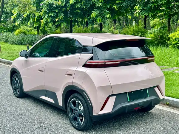BYD Seagull 2024