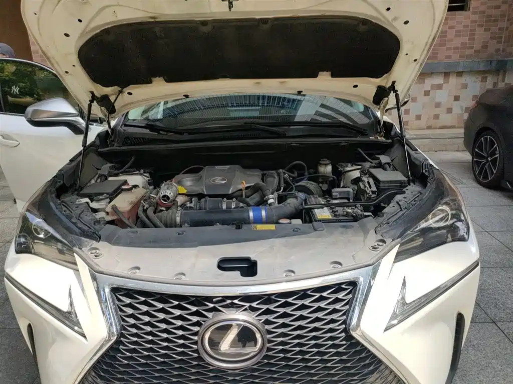 Lexus NX 2015 — фото 21