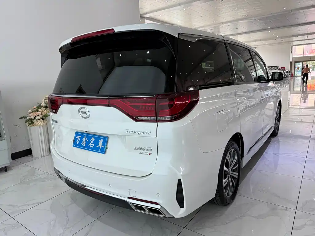 GAC Trumpchi M8 2020 — фото 19