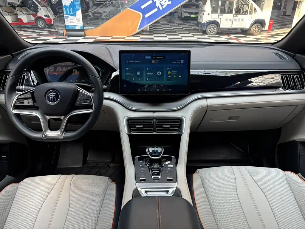 BYD PLUS New Energy 2022 — фото 13