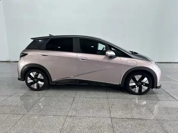 BYD Dolphin 2022