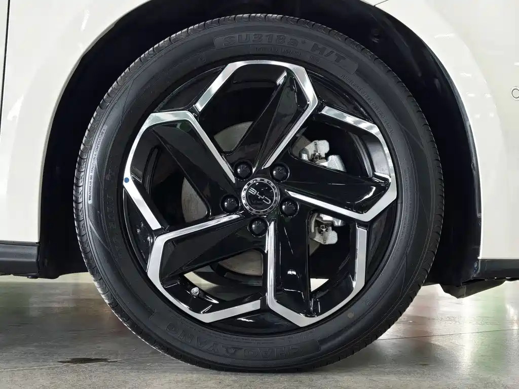 BYD Seal 06 DM-i Travel Edition 2025 — фото 22