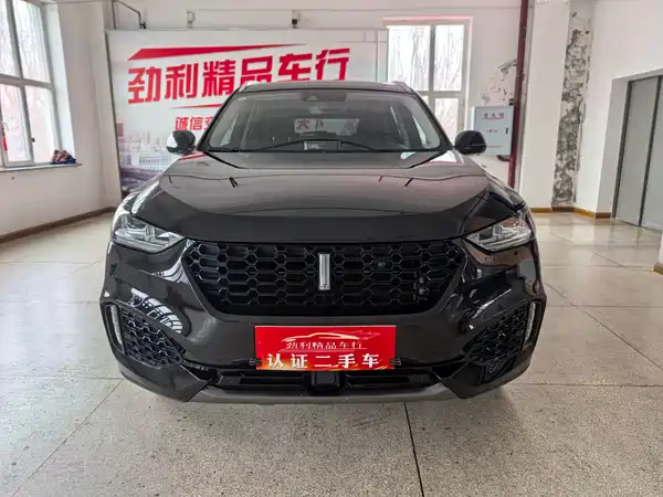 Wey VV6 2019