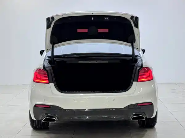 BMW 5 Series 2019