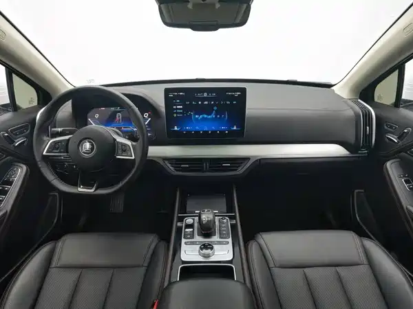 BYD Tang New Energy 2019