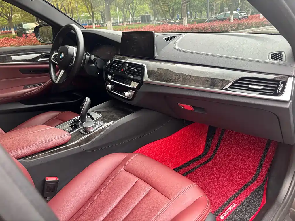 BMW 5 Series 2019 — фото 16