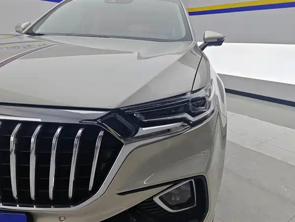 Hongqi HS5 2019