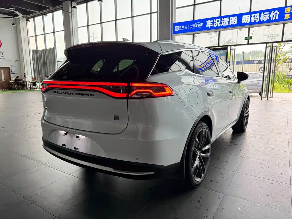 BYD Tang New Energy 2019 — фото 6