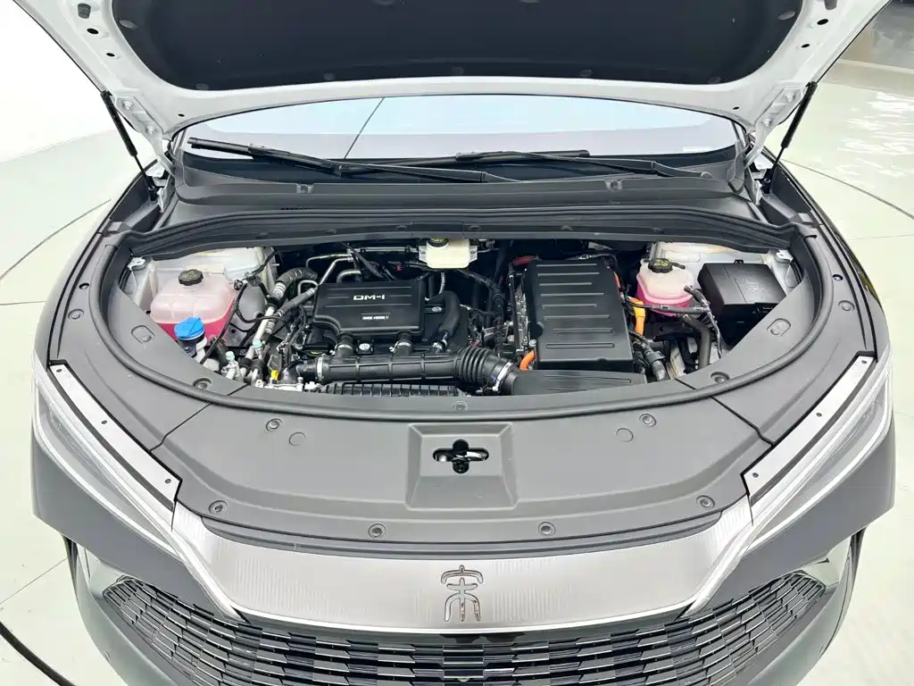 BYD Song L DM-i 2024 — фото 17