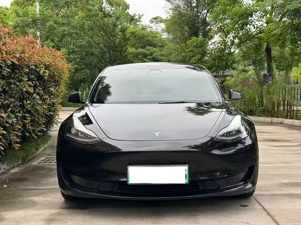 Tesla Model 3 2022 — фото 2