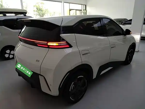BYD Seagull 2024