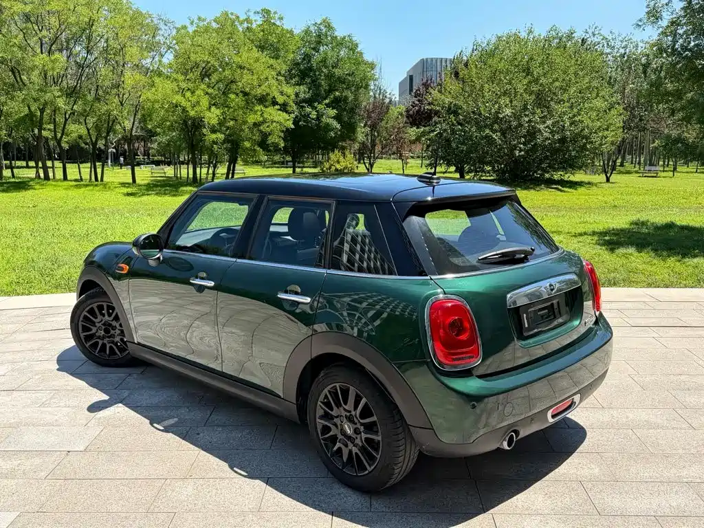 MINI MINI 2017