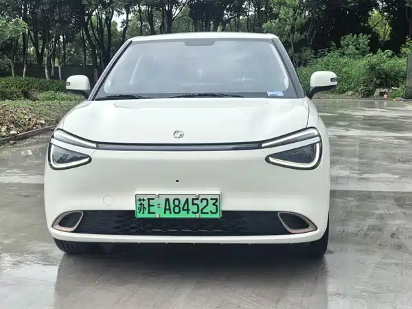 Dongfeng Nano 01 2024