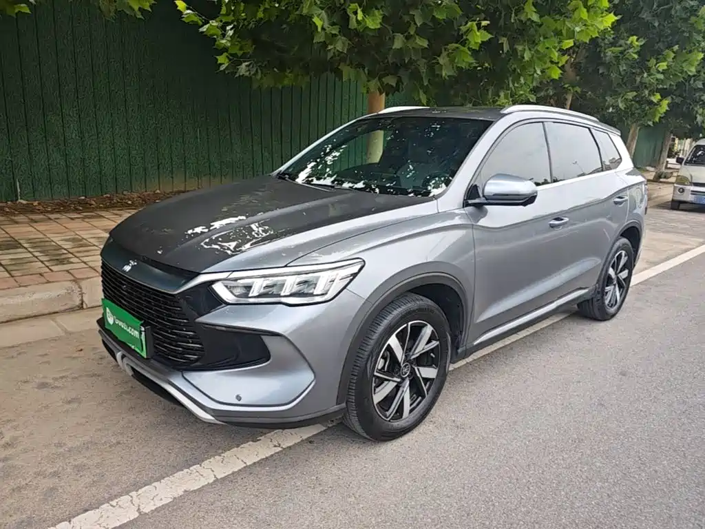 BYD Pro New Energy 2024