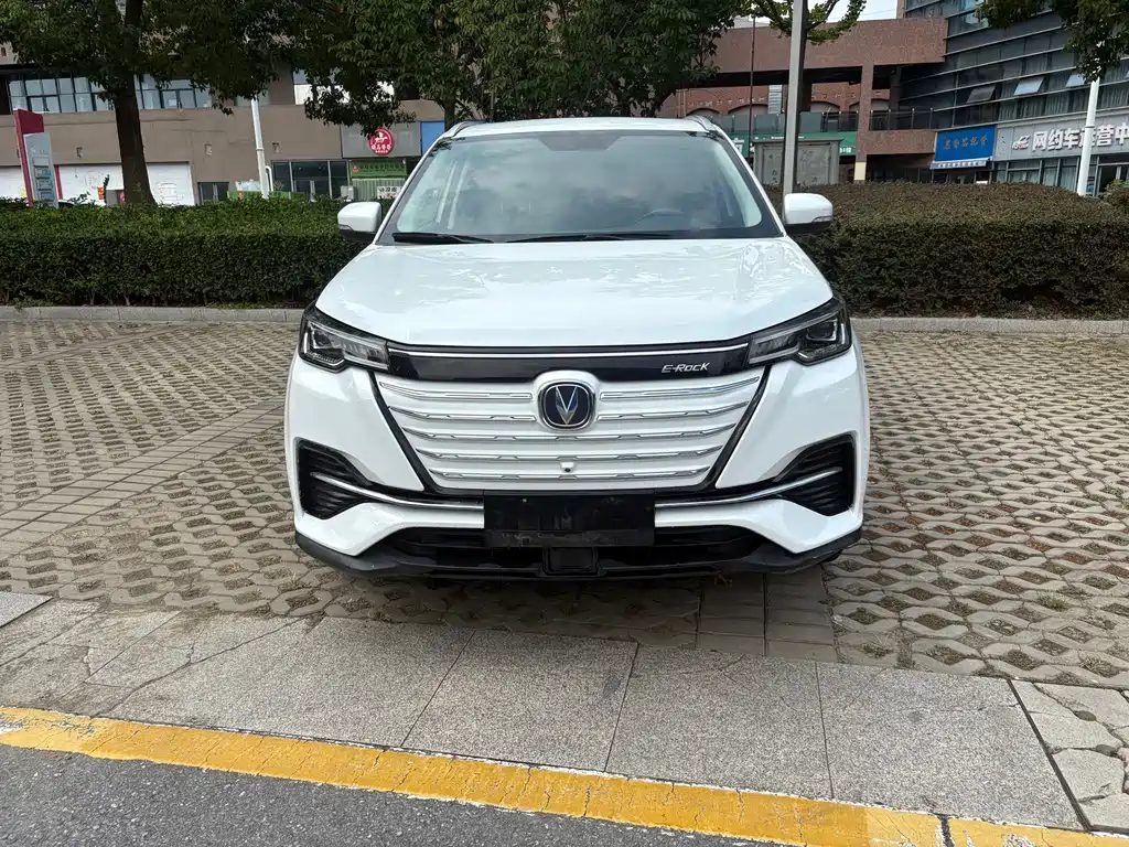 Changan CS55 Pure Electric Version 2020 — фото 2