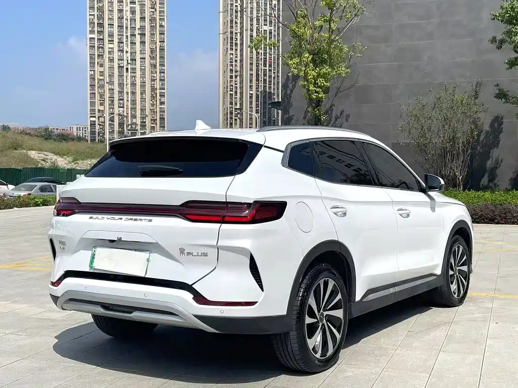BYD PLUS New Energy 2023 — фото 4