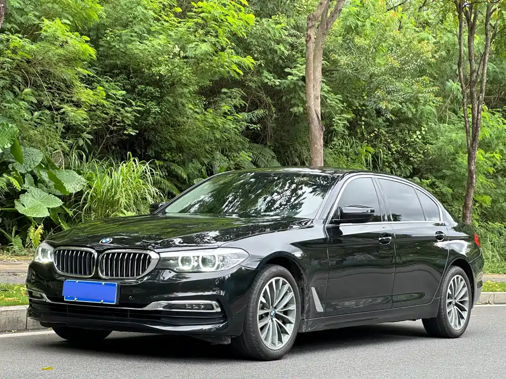 BMW 5 Series 2019