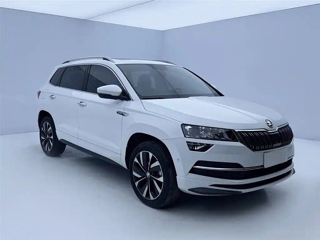 Skoda Karoq 2024 — фото 3
