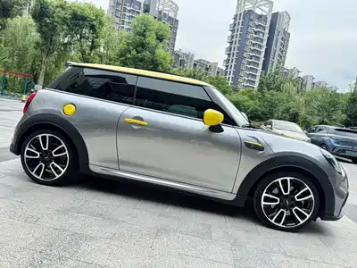 MINI MINI 2021