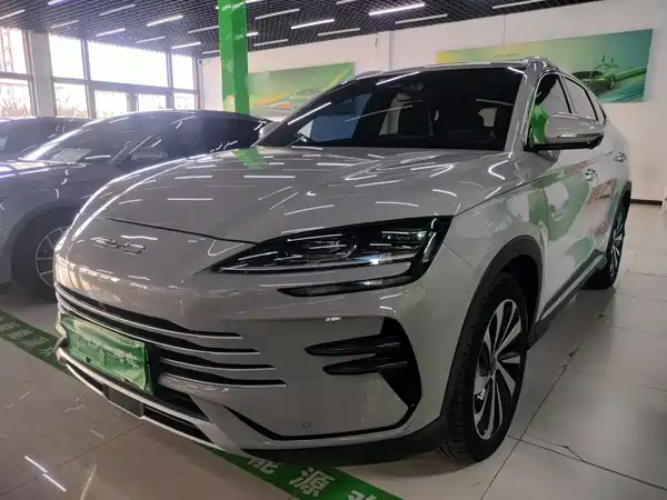 BYD Song PLUS New Energy 2024