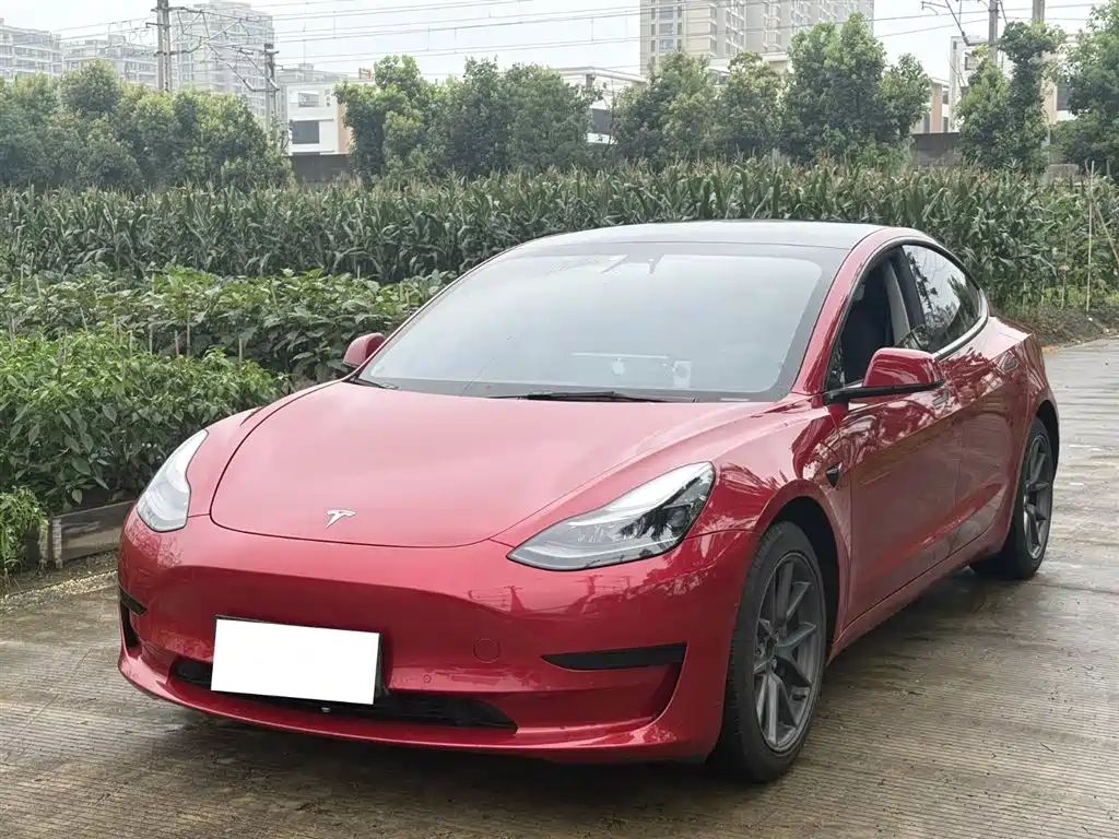 Tesla Model 3 2021