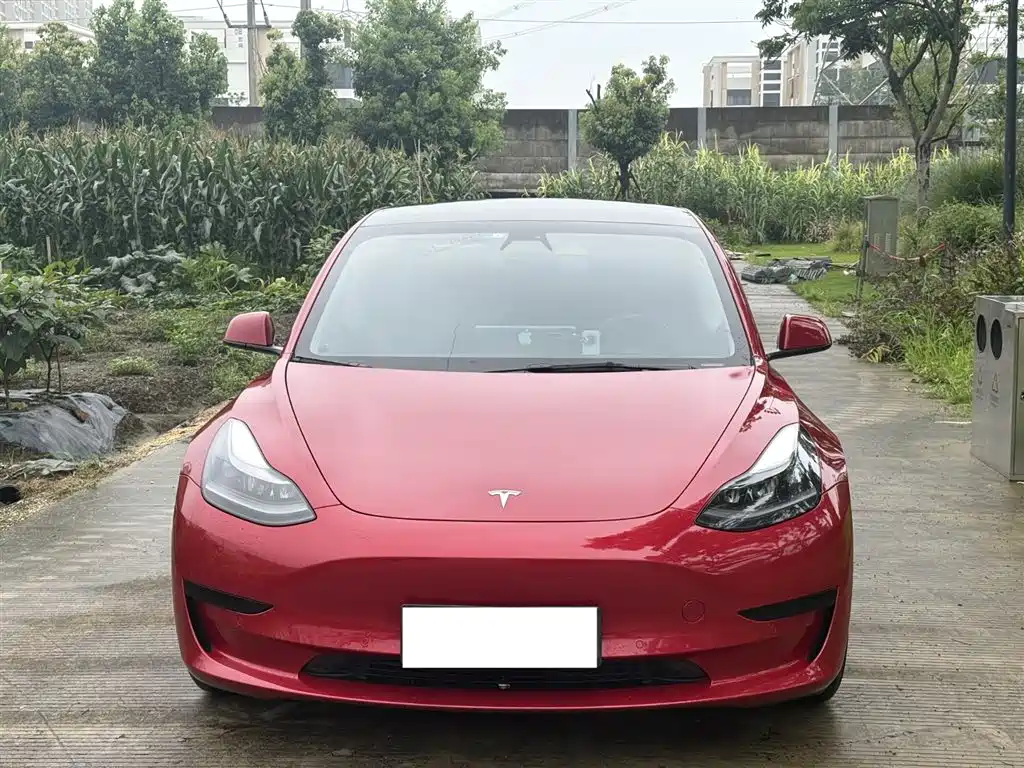 Tesla Model 3 2021 — фото 2