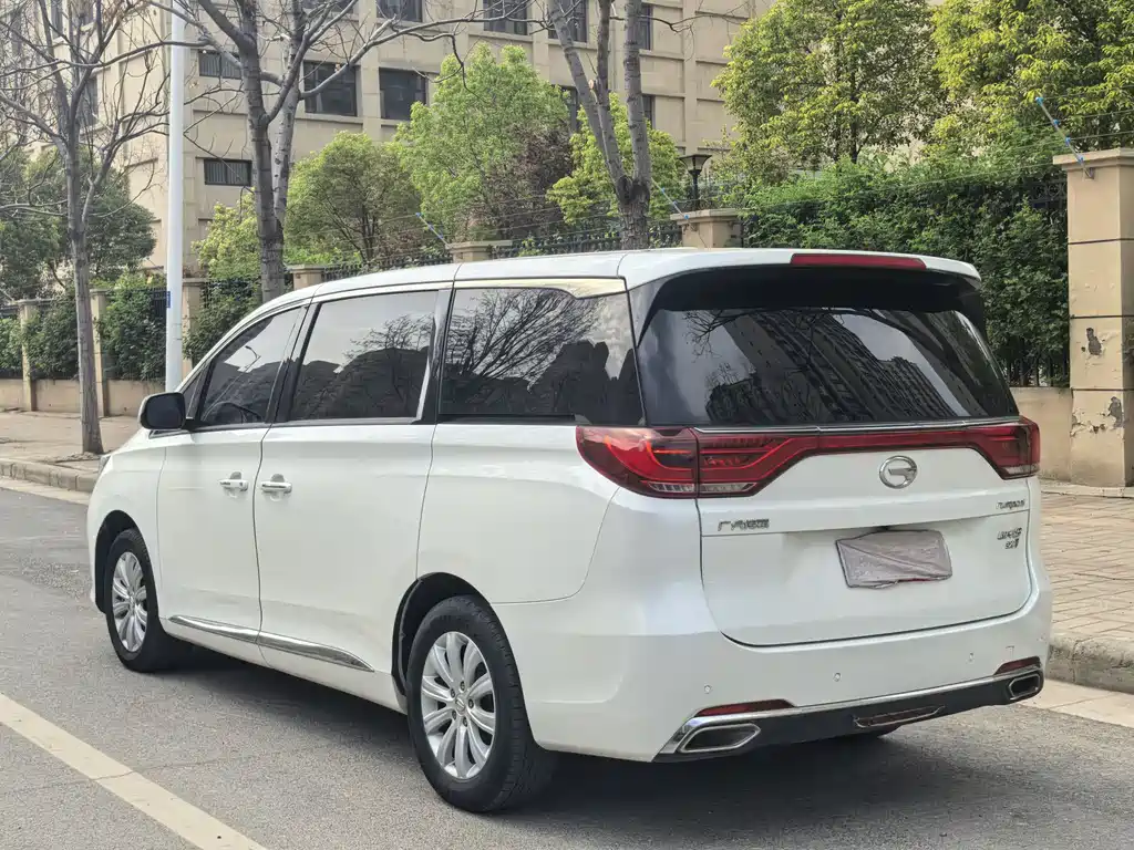 GAC Motor Trumpchi M8 2018 — фото 8