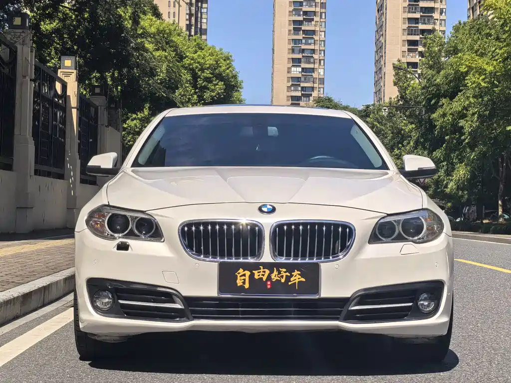 BMW 5 Series 2014 — фото 2