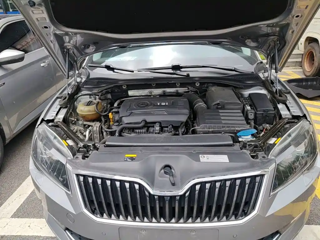 Skoda Speedy 2018 — фото 17