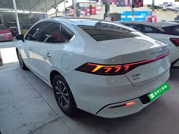 BYD Qin PLUS 2024