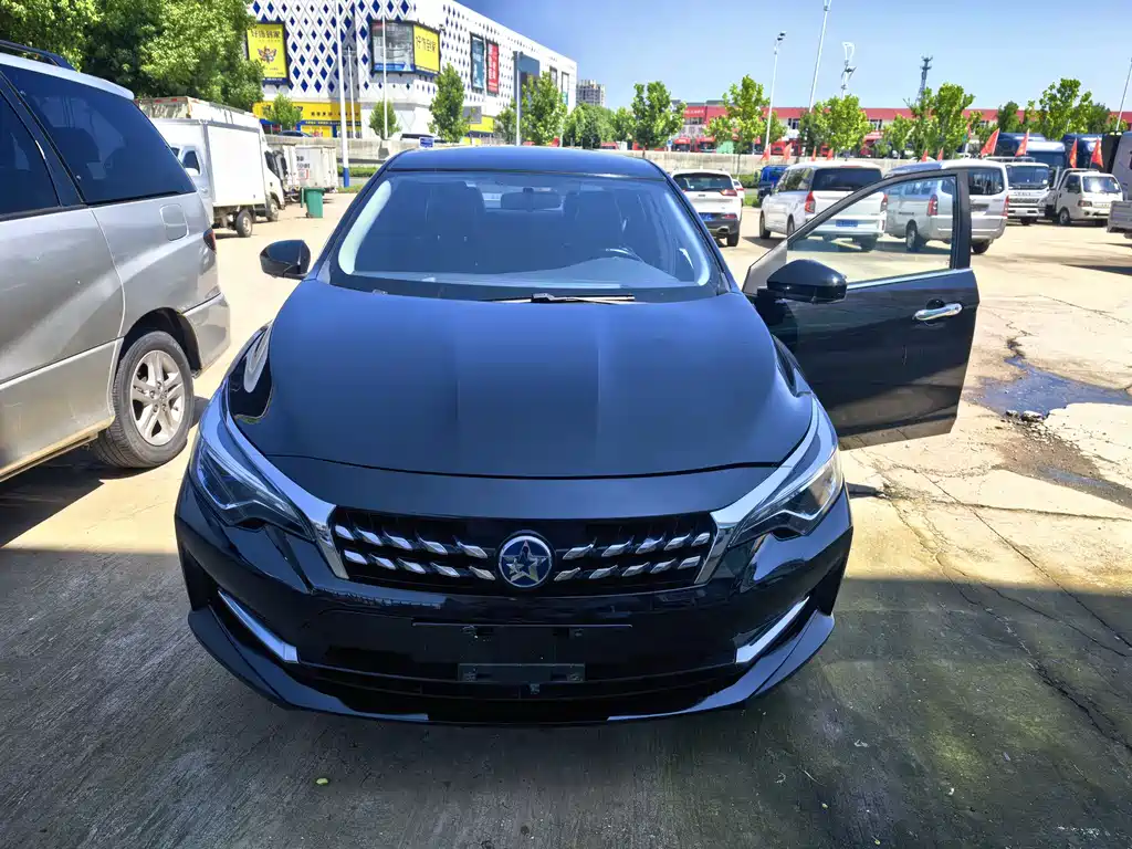Venucia D60 2019