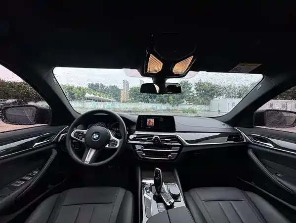 BMW 5 Series 2019
