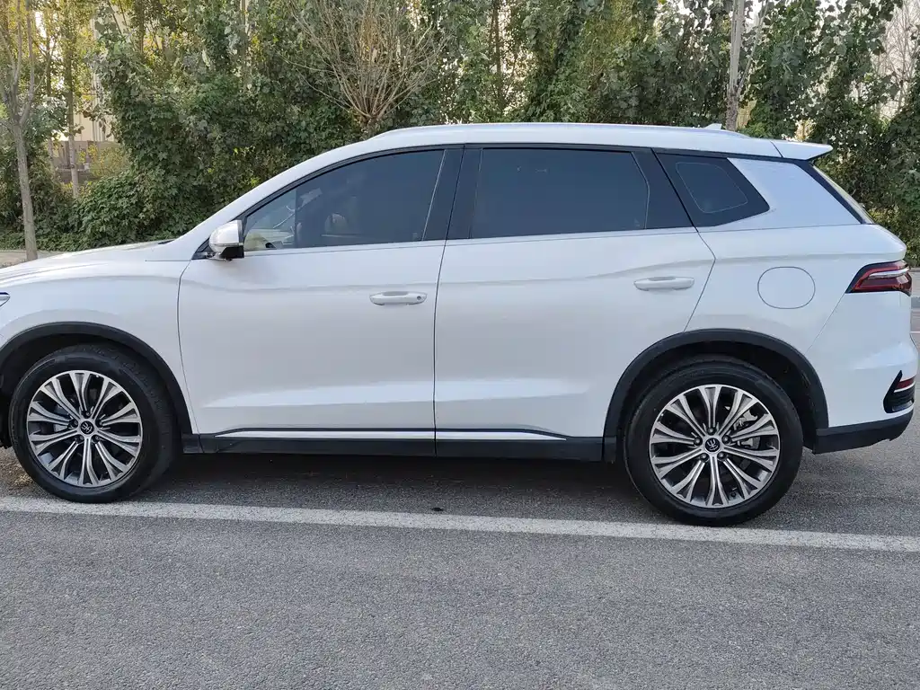 BYD Pro New Energy 2023 — фото 8
