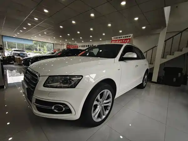 Audi SQ5 2016