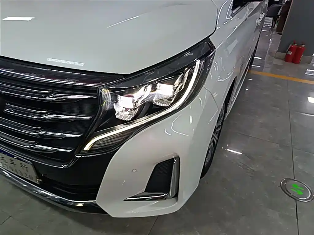 GAC Motor Trumpchi M8 2020 — фото 24