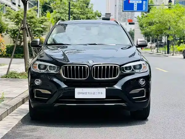 BMW X6 2018