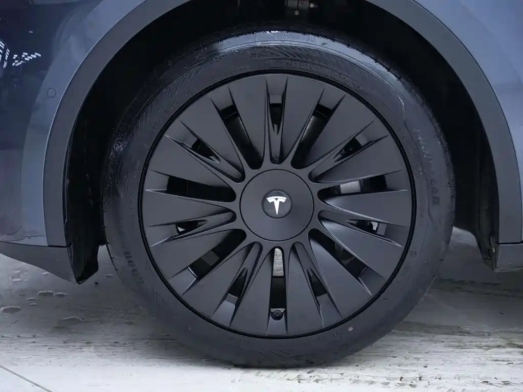 Tesla Model Y 2024 — фото 10